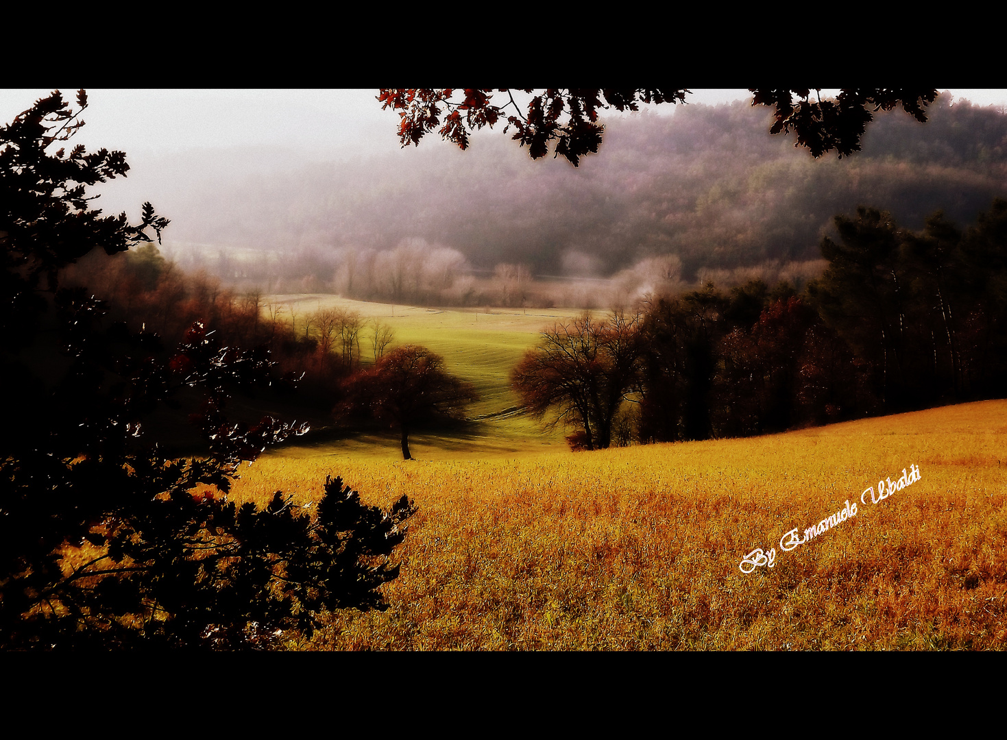 Una domenica pomeriggio passeggiando in campagna