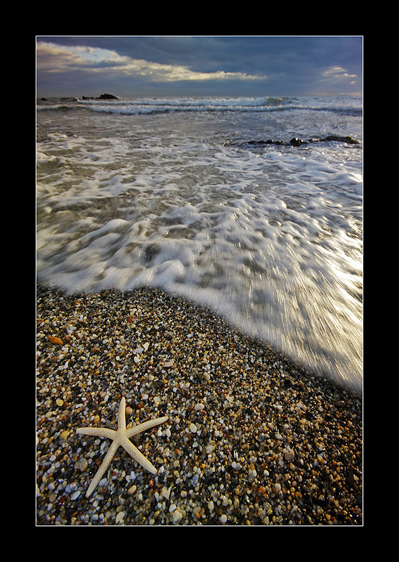 Una Estrella Perdida