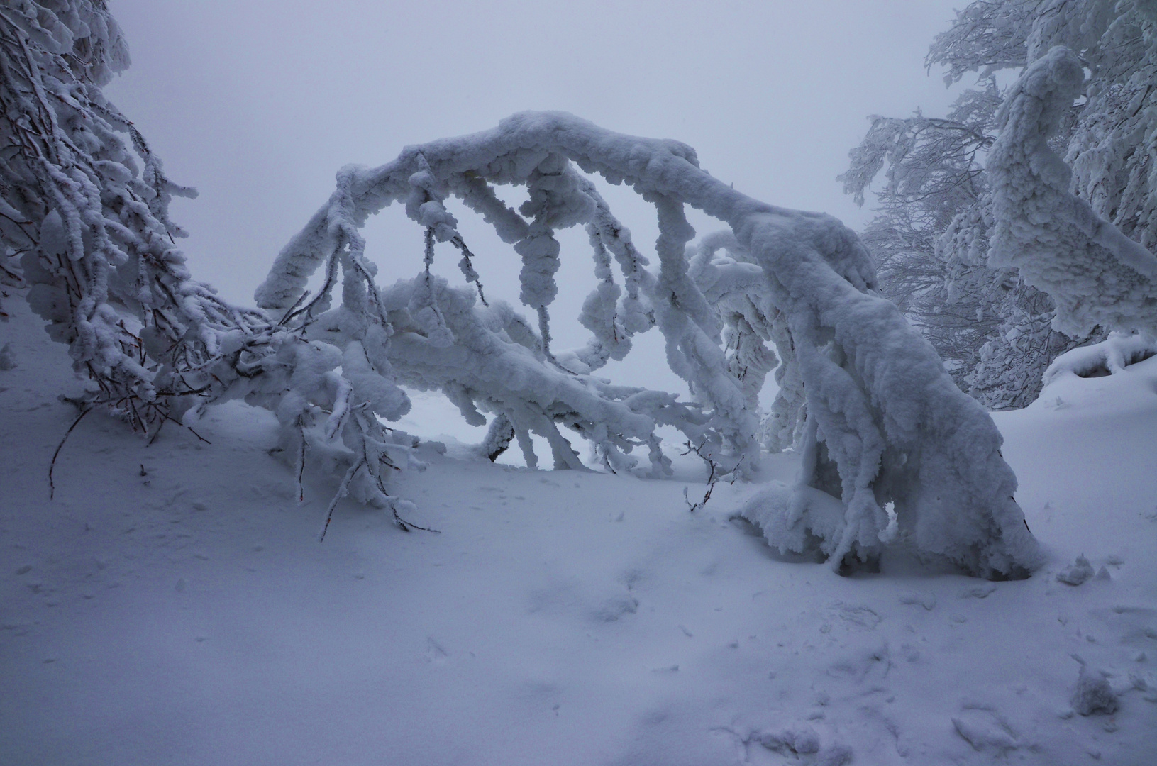 una fiaba di neve