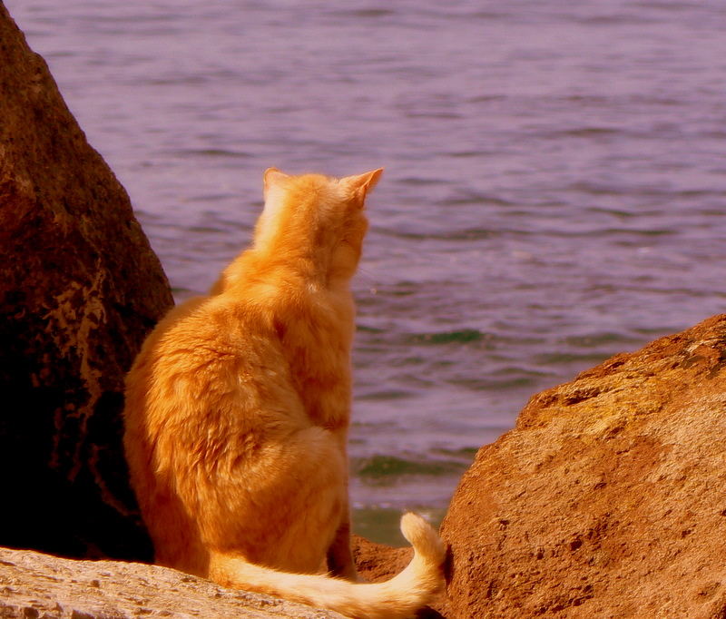 UNA FINESTRA SUL MARE