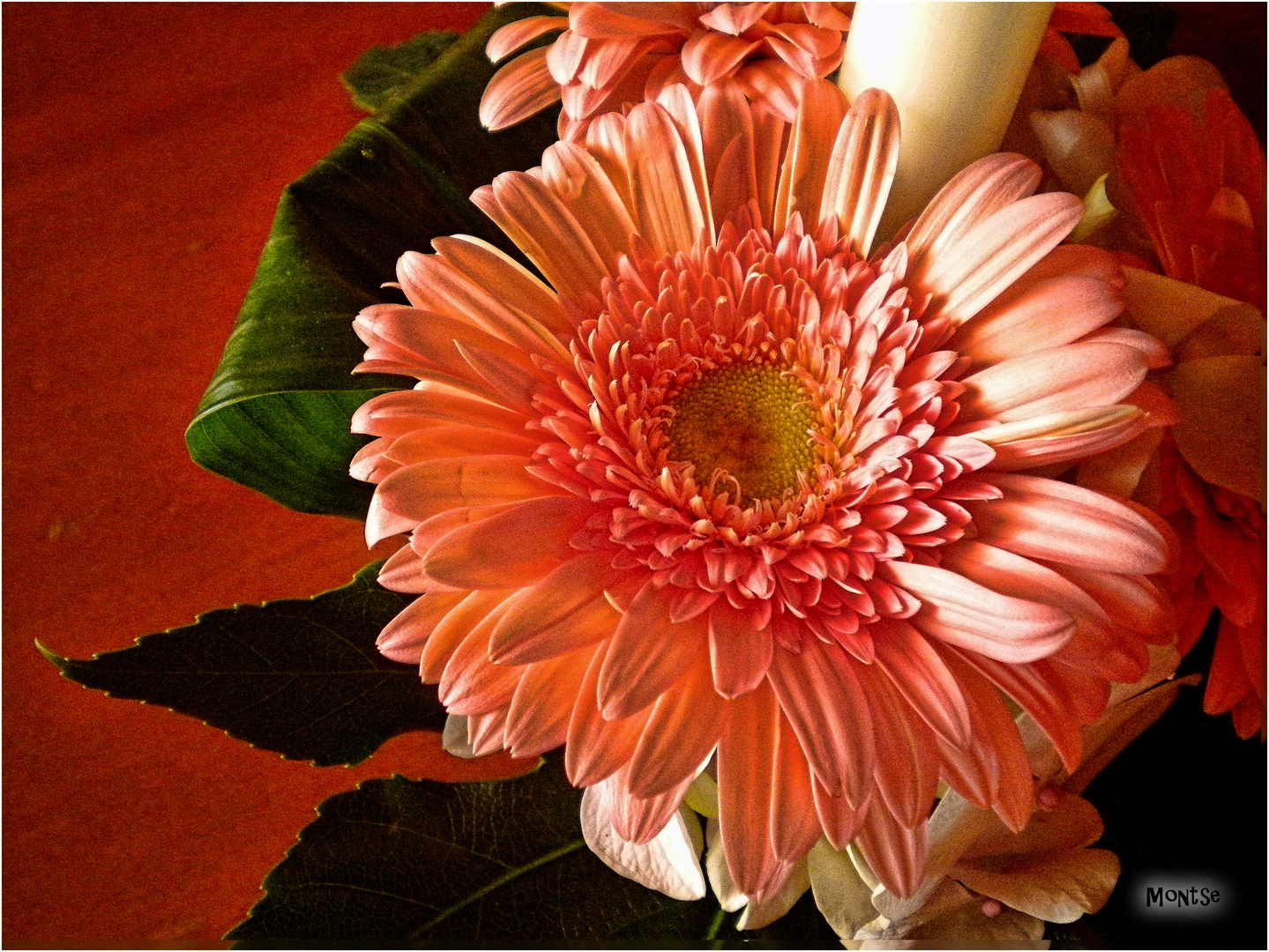 Una flor para ROSA CALVETE