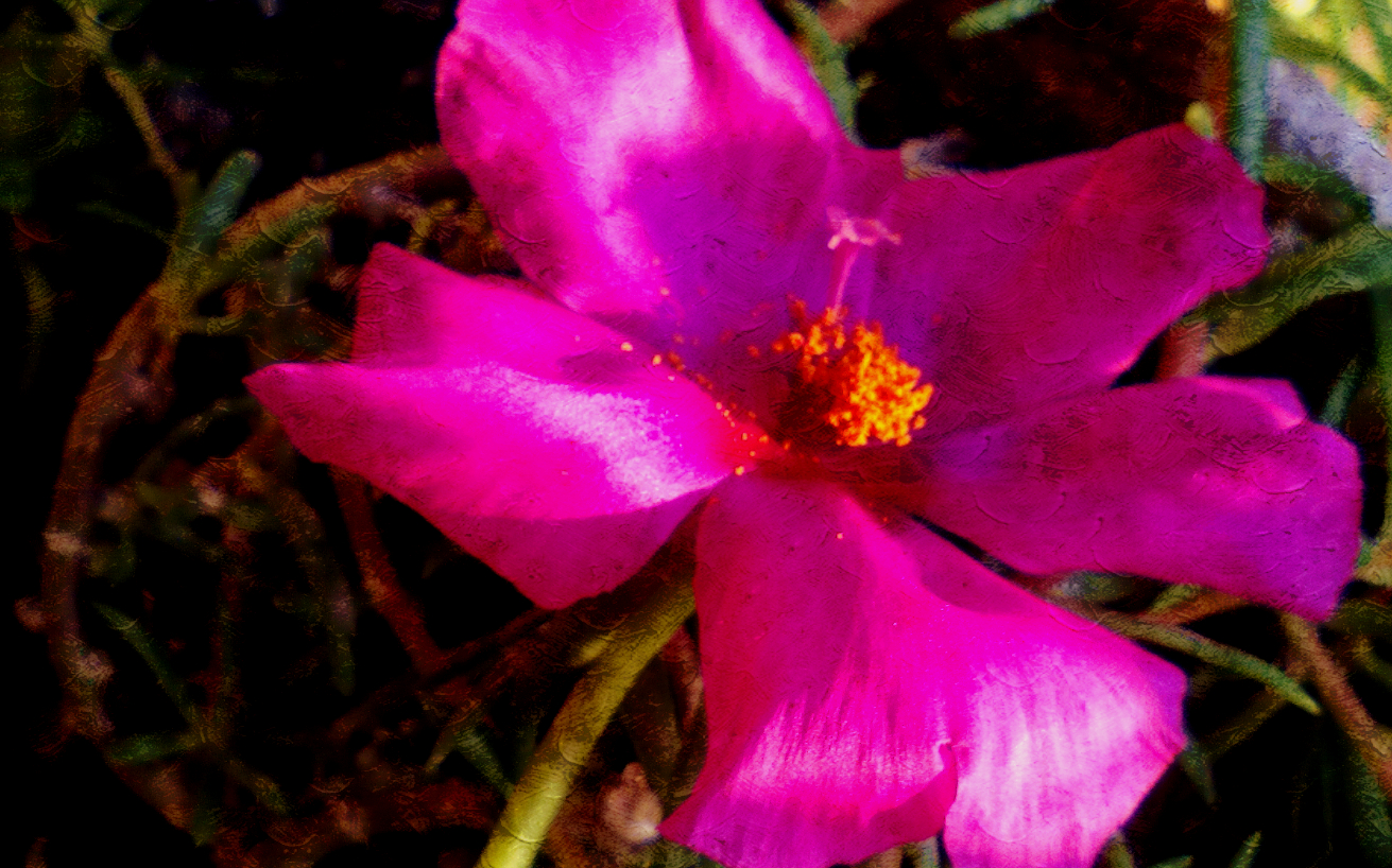  Una flor y un recuerdo  