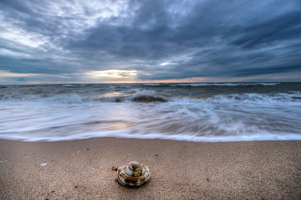 una fragile conchiglia