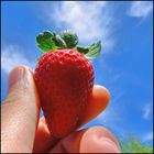 Una fragola nel cielo