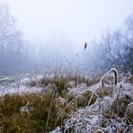 Una gelida camminata nella brughiera