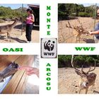UNA GITA FUORI PORTA ALL'OASI FAUNISTICA DEL WWF DI MONTE ARCOSU (CA)