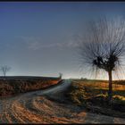 Una gita in campagna