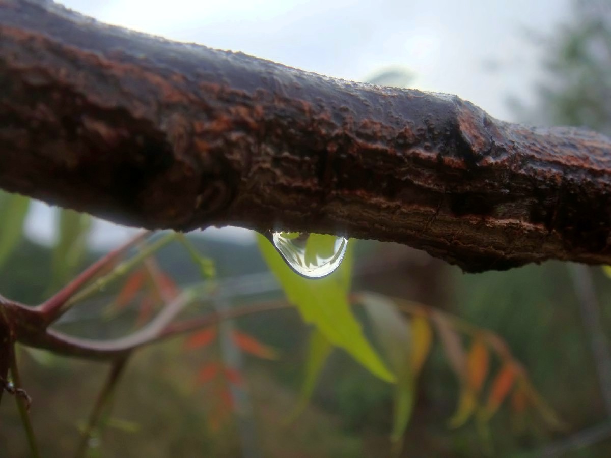 Una Gota de Agua Lluvia