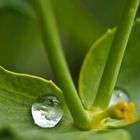 Una gota de lluvia.