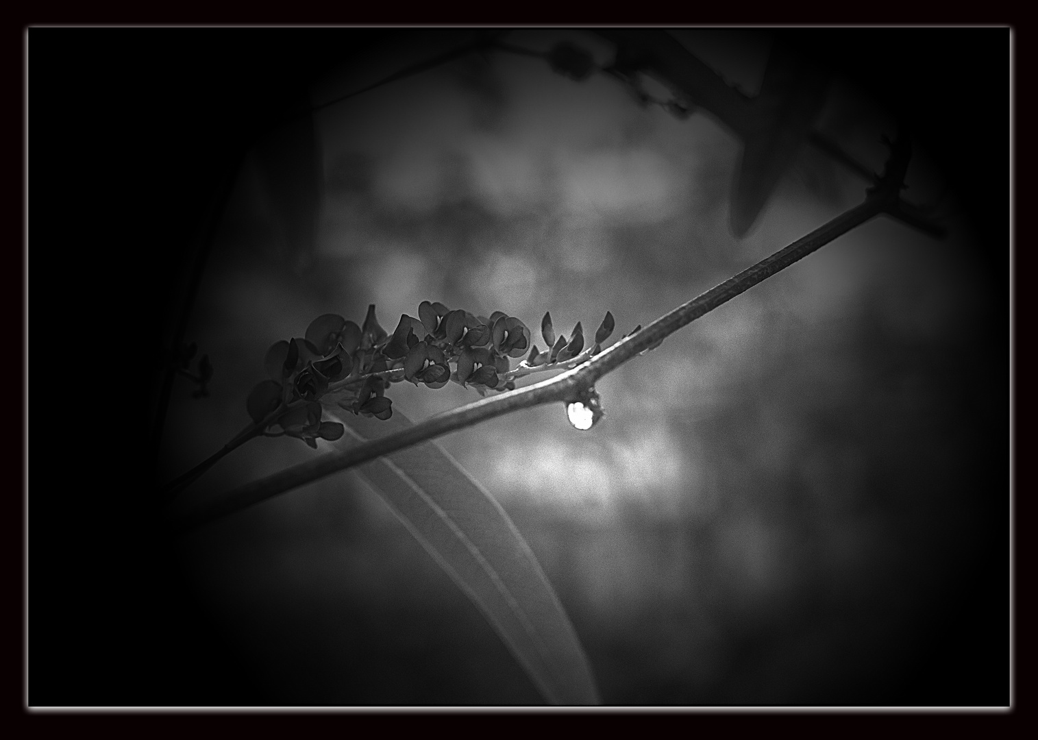 Una gota de luz