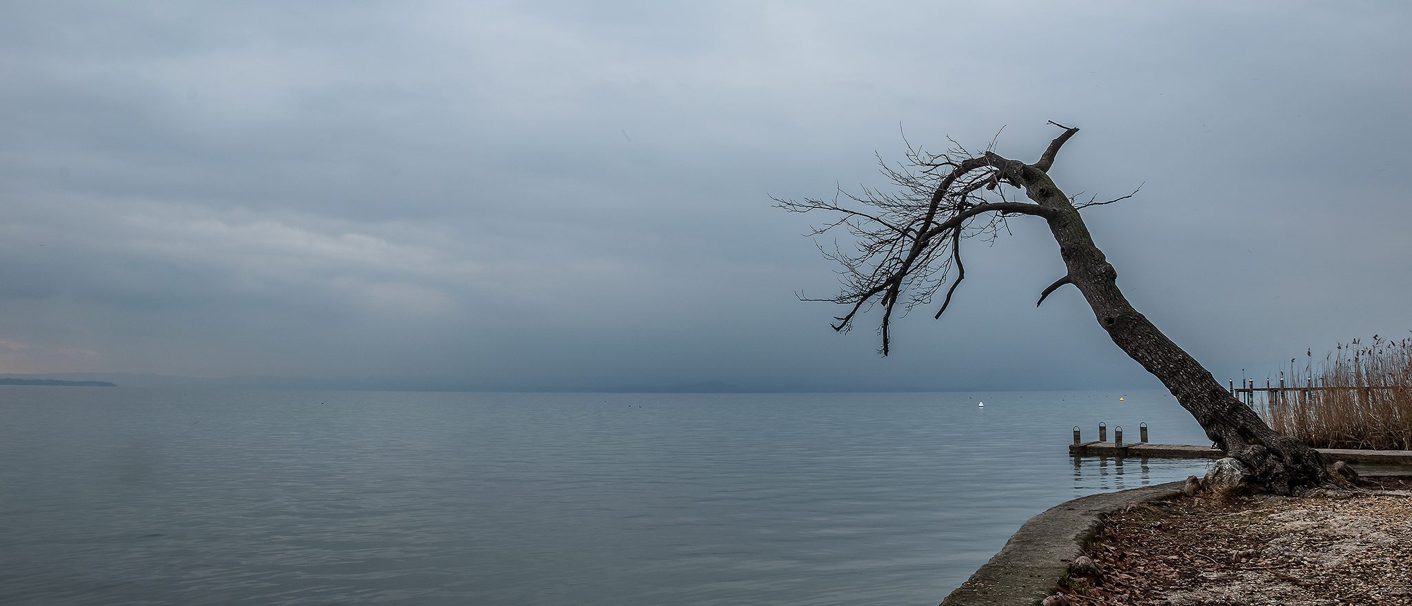 Una grigia giornata d'inverno.. 