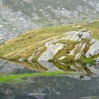 Una lingua d'erba nel lago avvolto dalle nubi