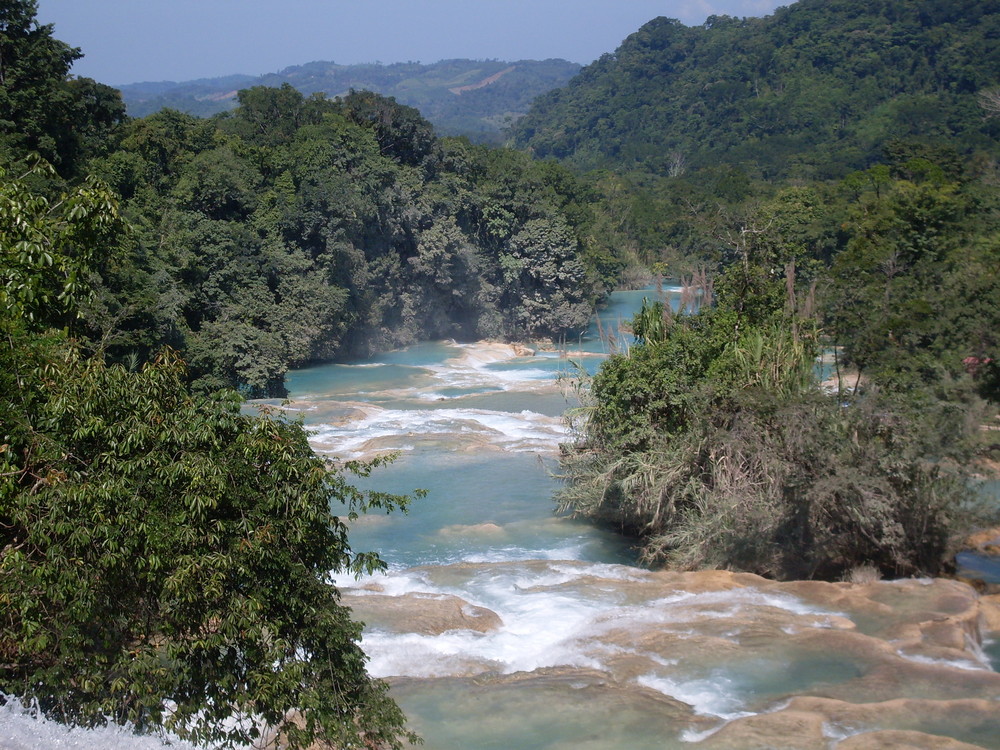 Una lingua turchese nel cuore della Selva Lacandona