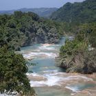 Una lingua turchese nel cuore della Selva Lacandona