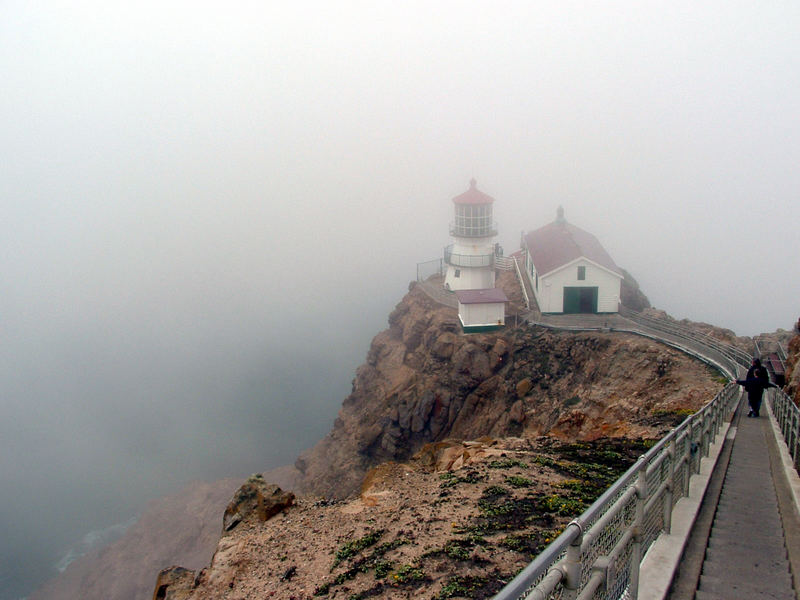 ...una luce nella nebbia...