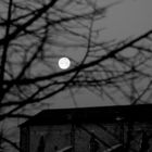Una luna...esagerata!...