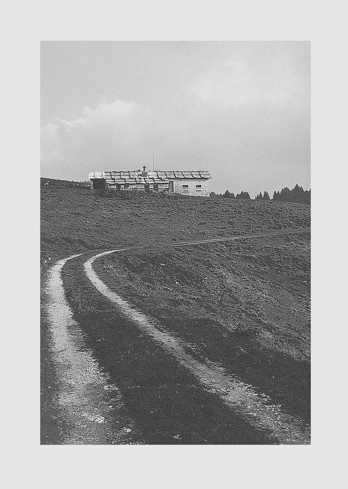 una lunga strada sterrata ...una malga caratteristica..la  Lesssinia !...