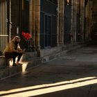 Una luz en el Claustro - Una llum al Claustre