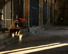 Una luz en el Claustro - Una llum al Claustre