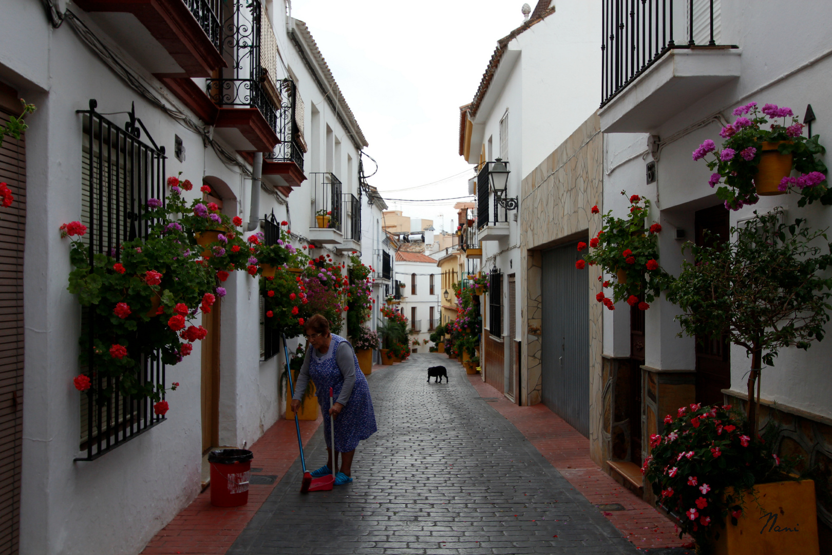 Una mañana andaluza