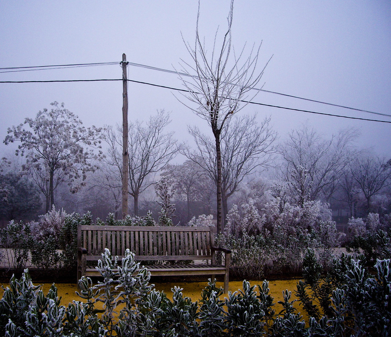 Una mañana de mucho frio