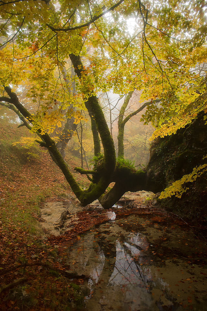 Una mañana de otoño