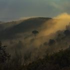 UNA MAÑANA DE OTOÑO