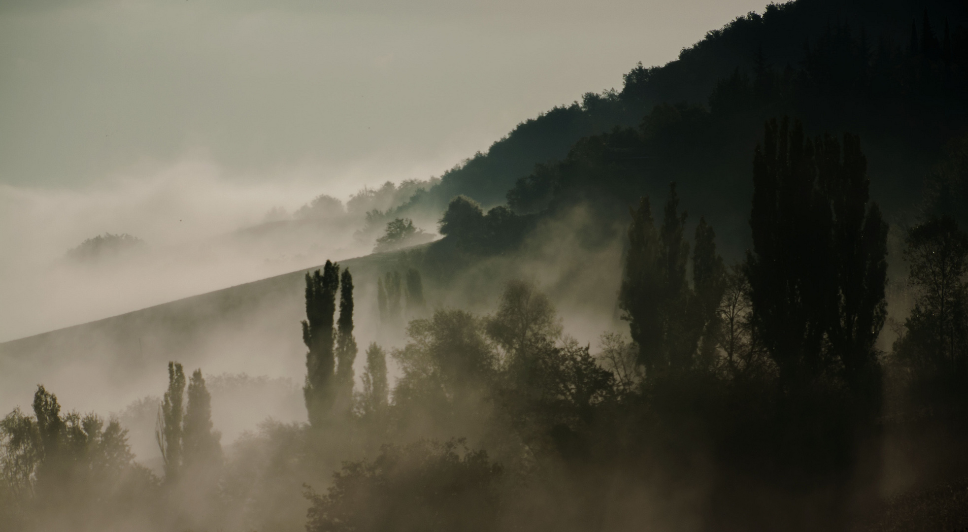 Una mattina