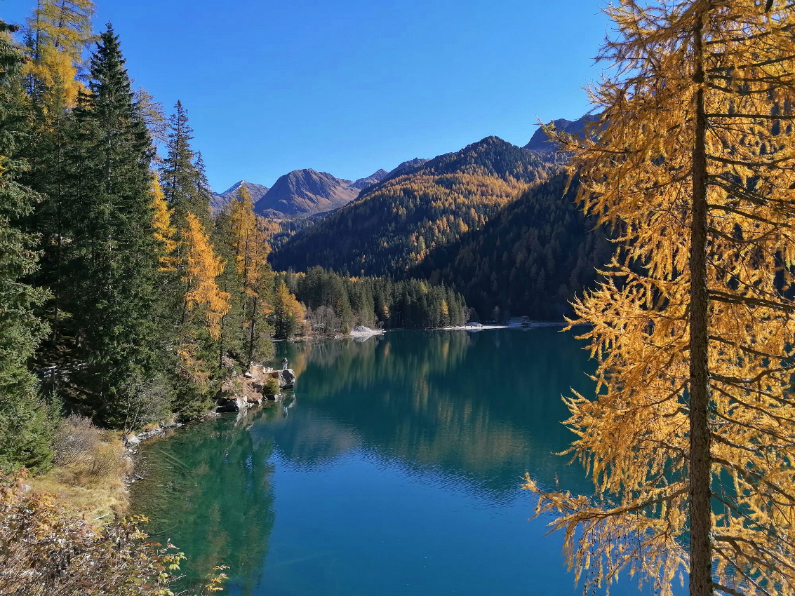 Una mattina al lago