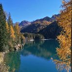 Una mattina al lago