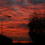 una mattina di novembre alle 7.30