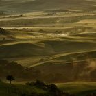 una mattina in Val d'Orcia II