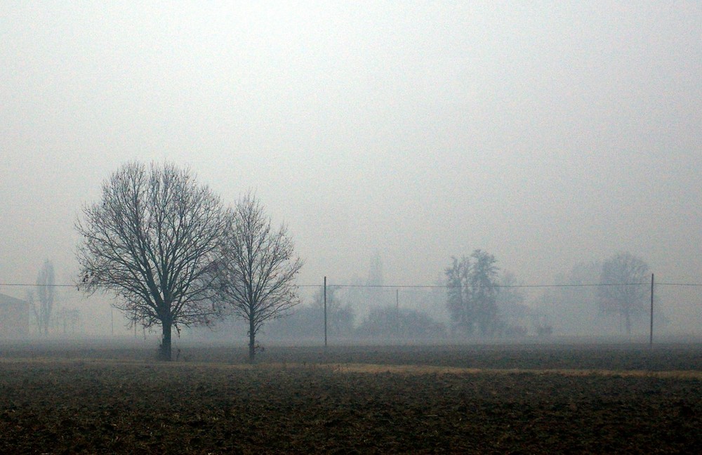 Una mattina qualsiasi