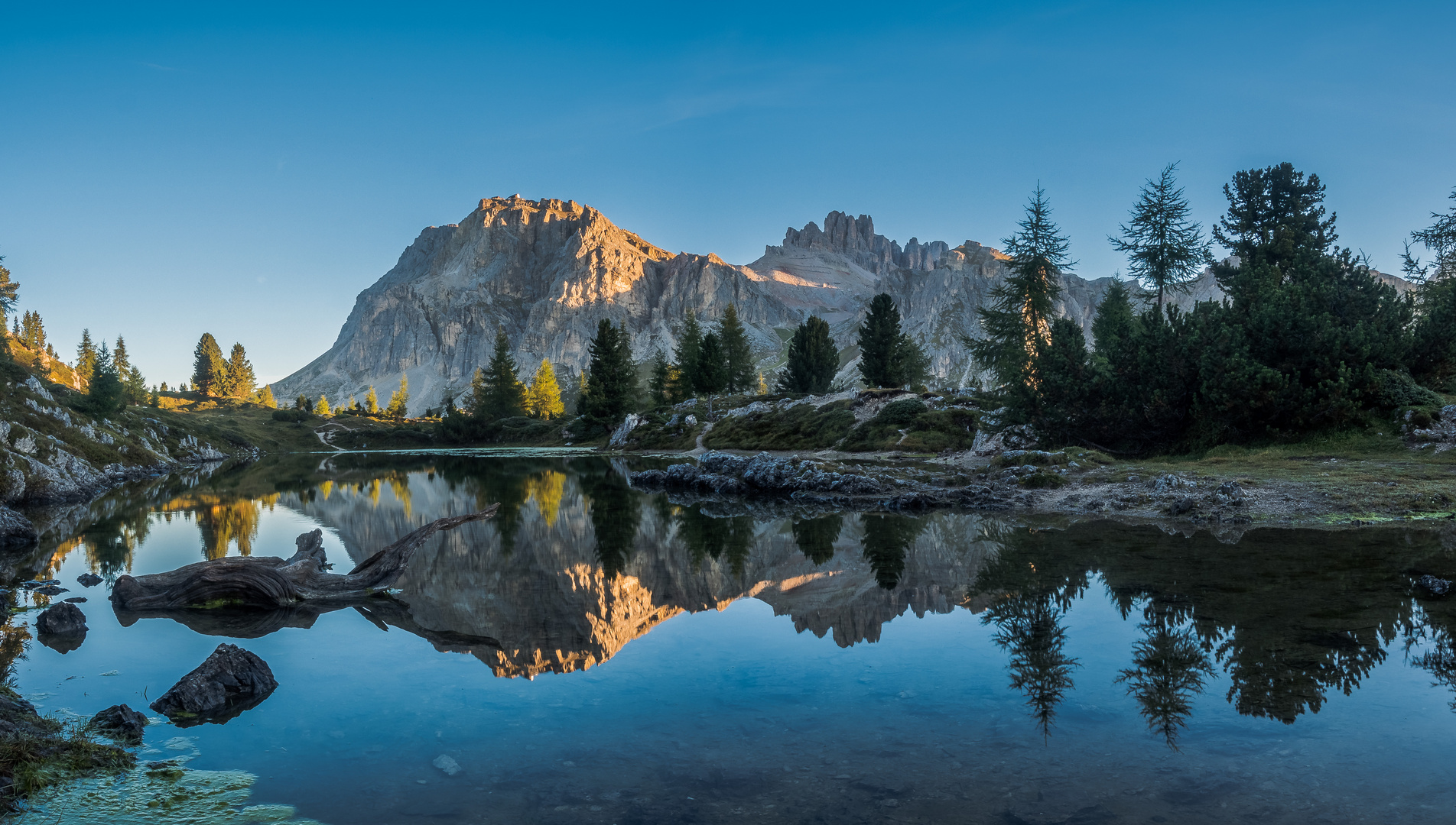 una mattina speciale 