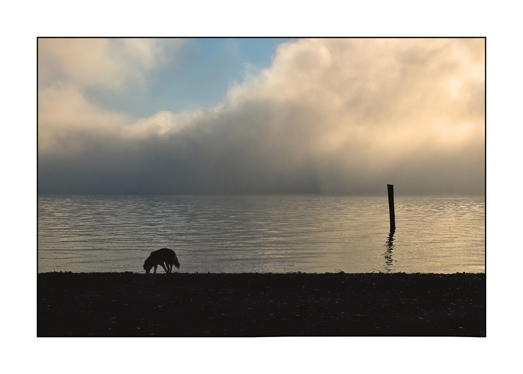 Una mattina sul lago