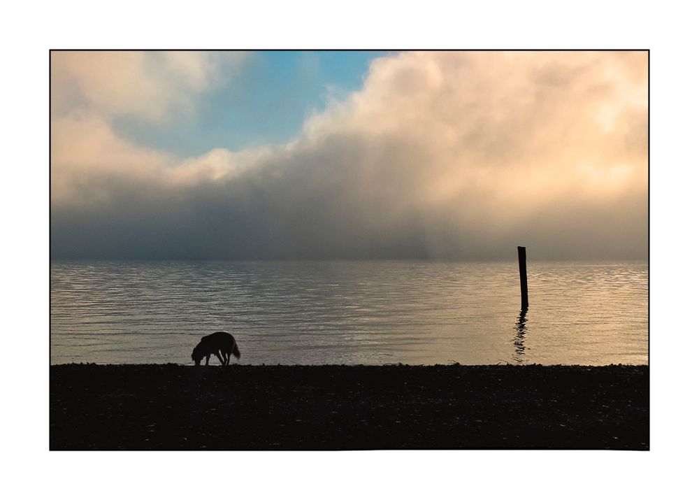 Una mattina sul lago