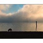 Una mattina sul lago