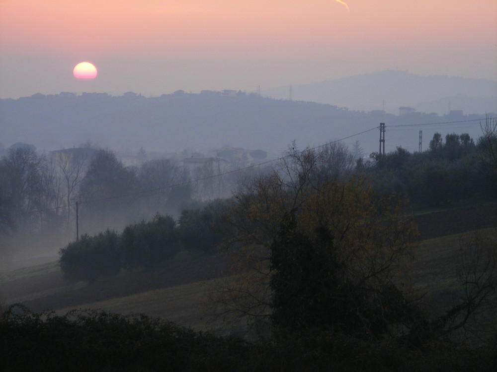 una mattina un po' umida