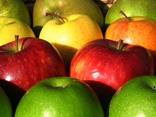 una mela al giorno toglie il medico di torno