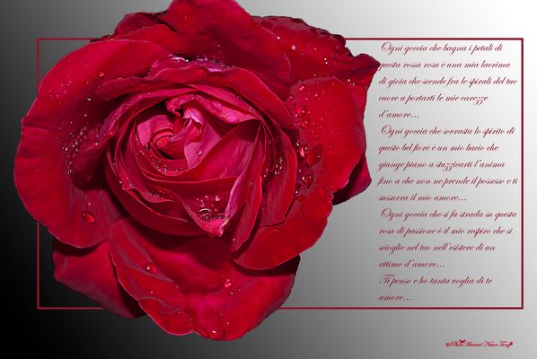 una mia lacrima di gioia