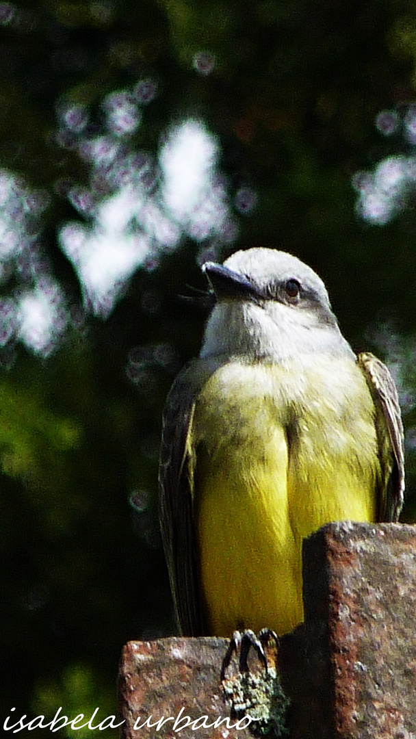 una mirada