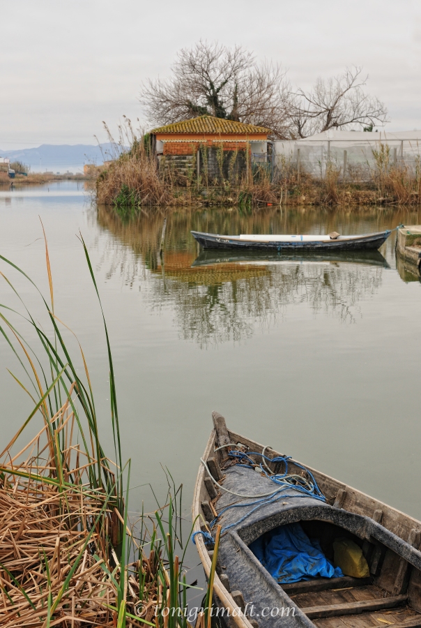 Una mirada a la albufera