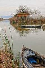 Una mirada a la albufera