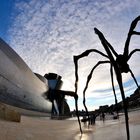 Una mirada diferente al Guggenheim Bilbao