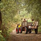 UNA MÁQUINA EN LA SELVA