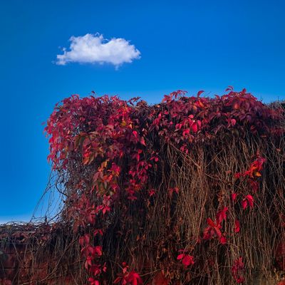 Una nuvola non fa temporale.