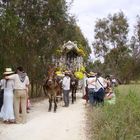 una parada en el camino