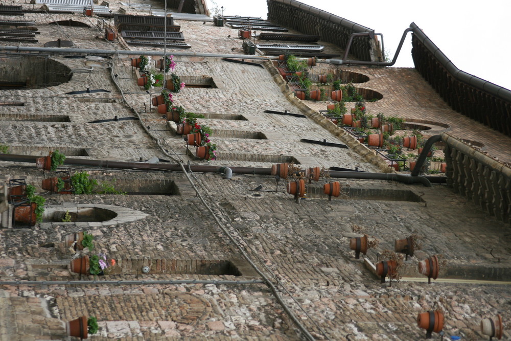 una parete fiorita in una via di assisi