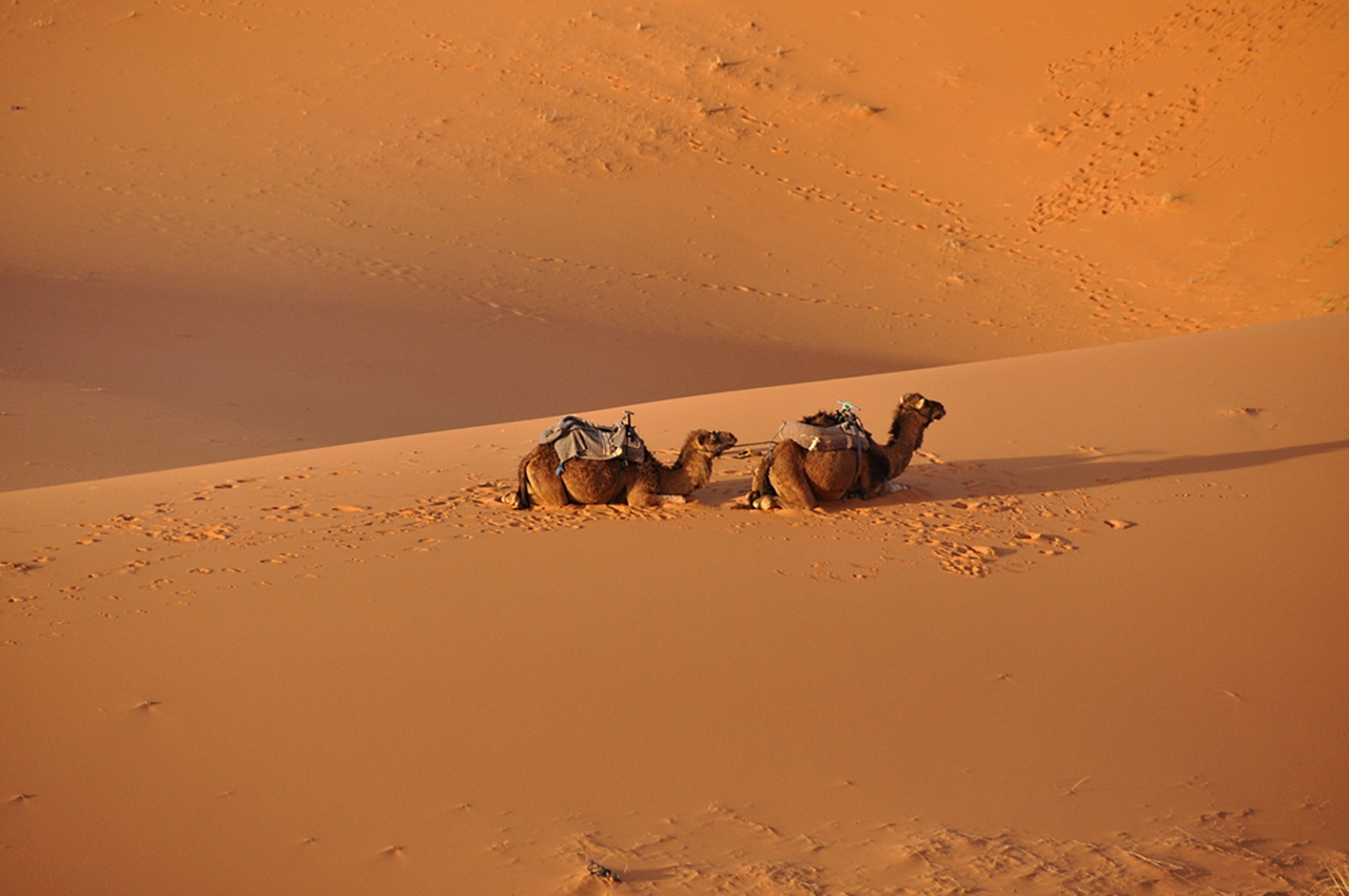 Una passeggiata nel deserto al tramonto