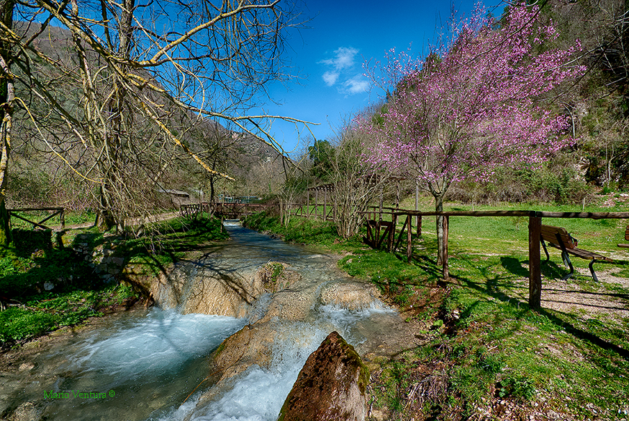 Una passeggiata nel parco